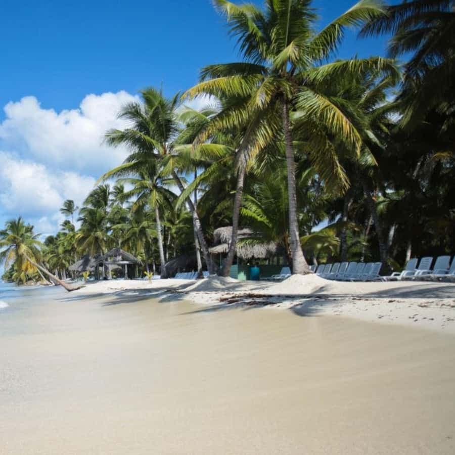 experience saona island from punta cana