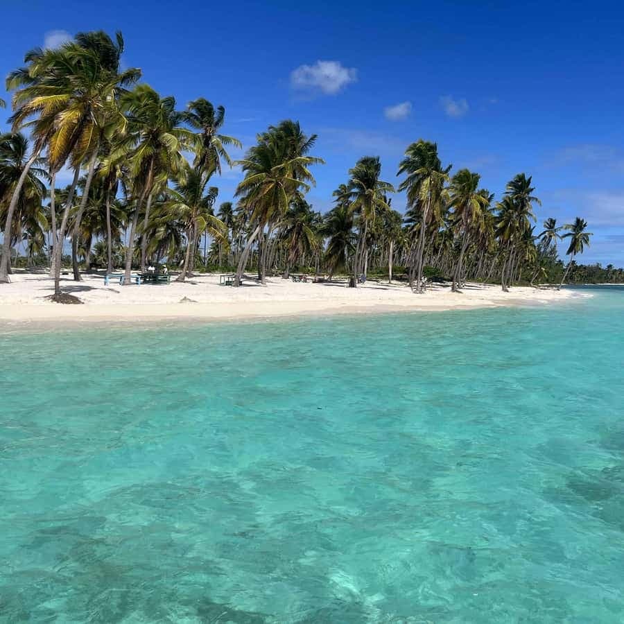 Boca Chica: Saona Island Full-Day Tour with Lunch