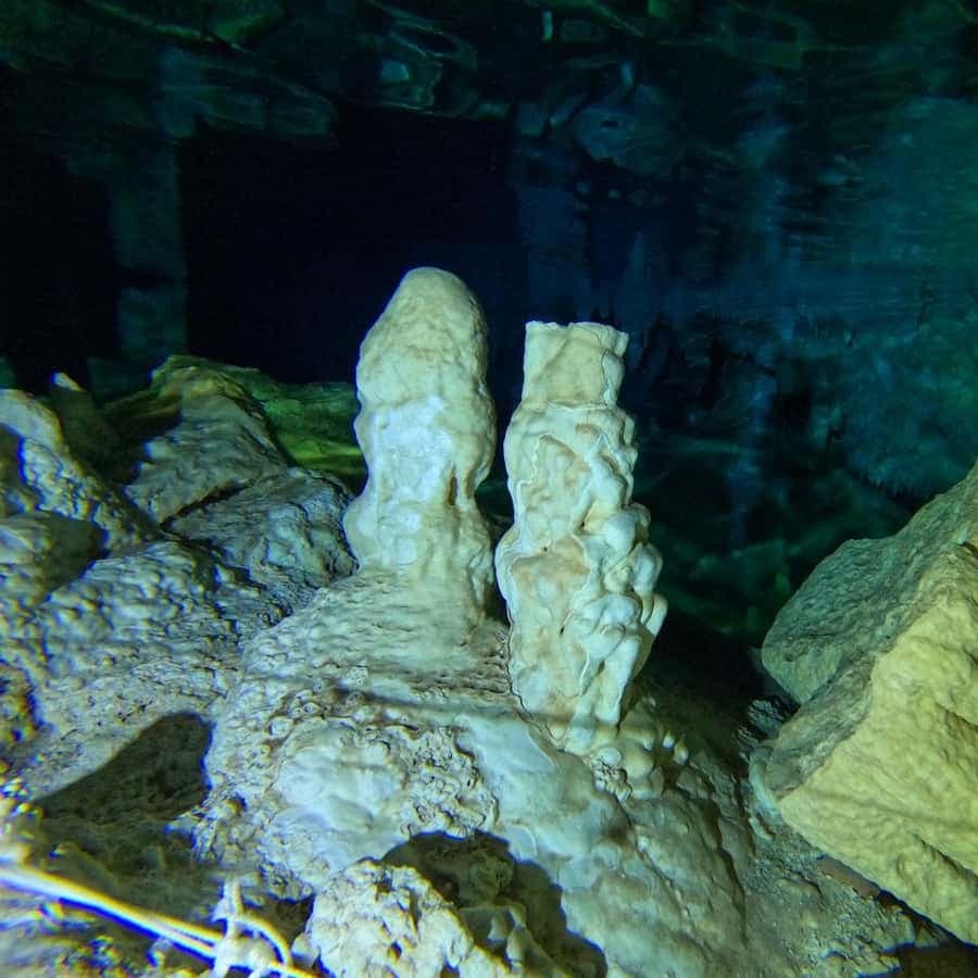 Punta Cana: Diving in Cavernes or Cenotes