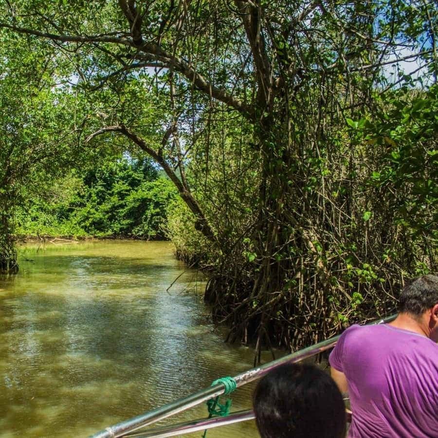 Sabana de la Mar: Los Haitises, Waterfalls & Mountain Tour