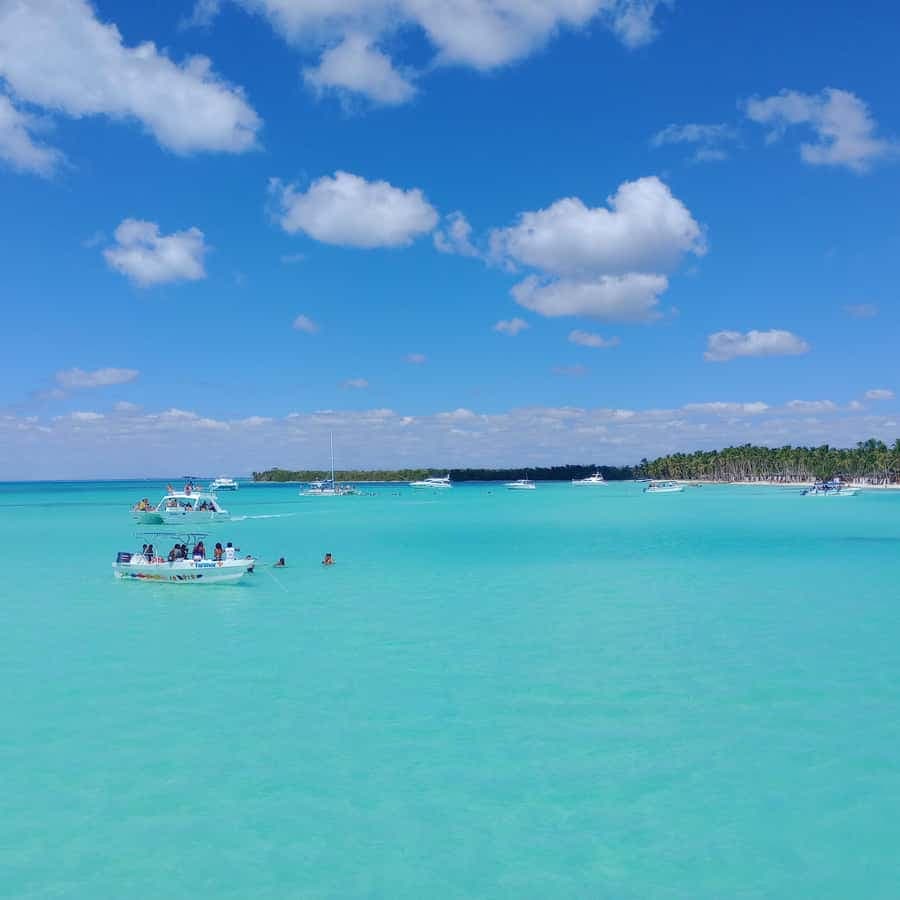 Saona Island Full-Day Cruise, Natural Pool and Lunch