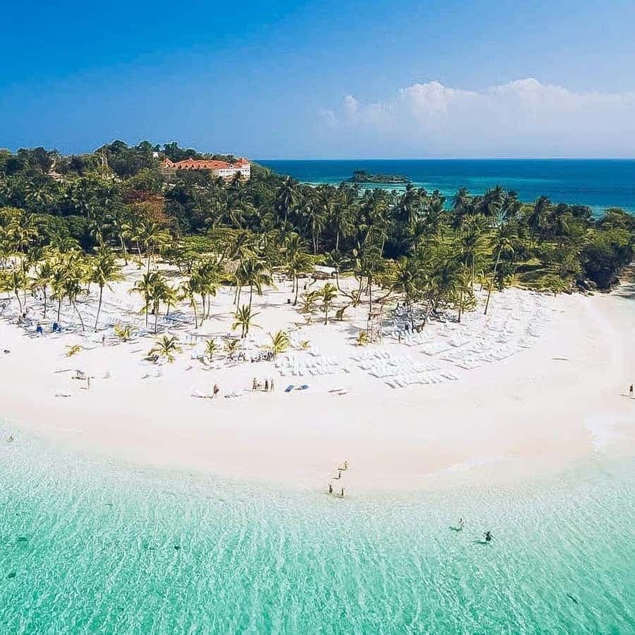 Punta Cana: Samaná Peninsula Whale Watching Day Trip - Dominican Republic