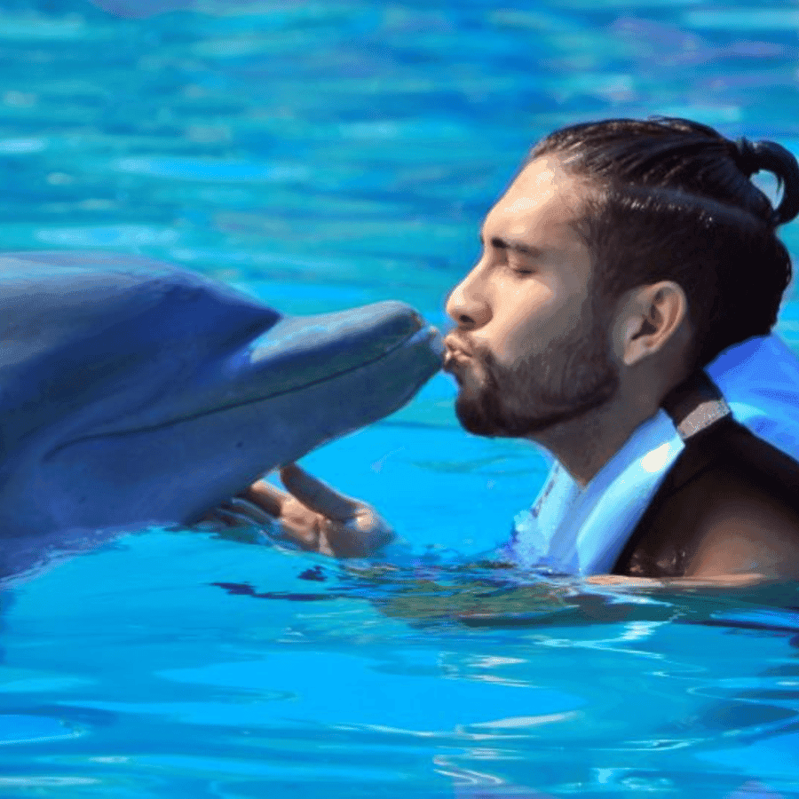 Punta Cana: Dolphin Explorer Park Entry, Swim, or Encounter