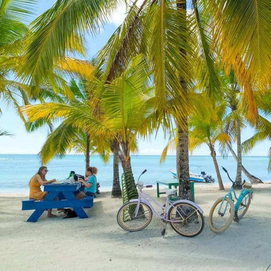 Punta Cana: Isla Saona Day Trip with Catamaran Cruise