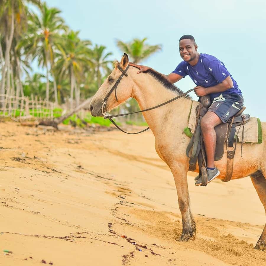 Punta Cana: Beach Sunset Horseback Riding with Hotel Pickup