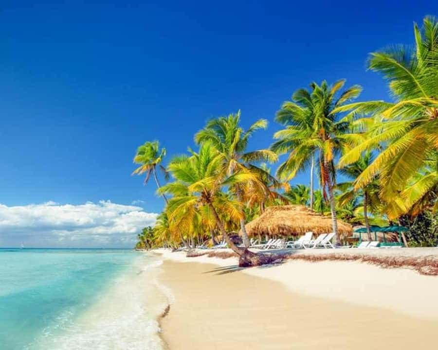 Full-Day Saona Island Excursion with Catamaran Party