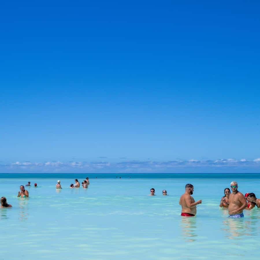 Santo Domingo: Saona Island Tour by Catamaran or Speedboat