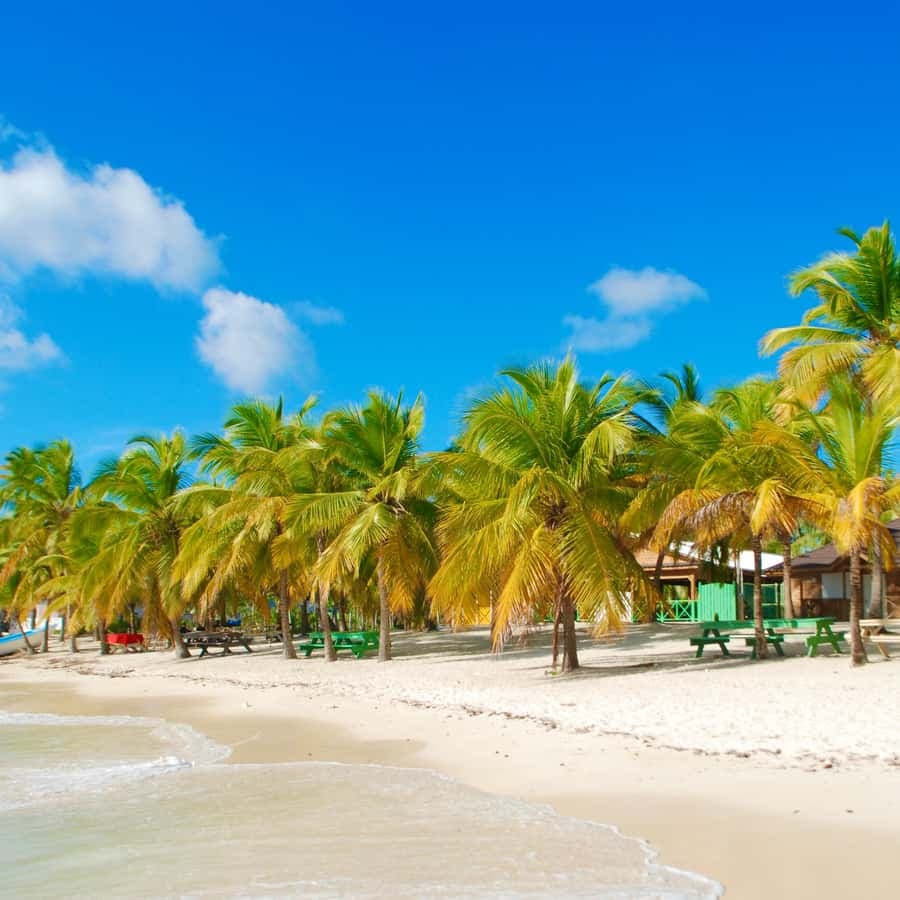 Saona Island & Chavon River Tour with Lunch & Drinks