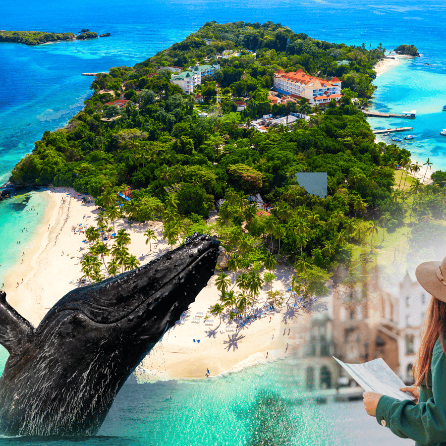 Samana: City Tour with Whale Watching & Cayo Levantado Stop