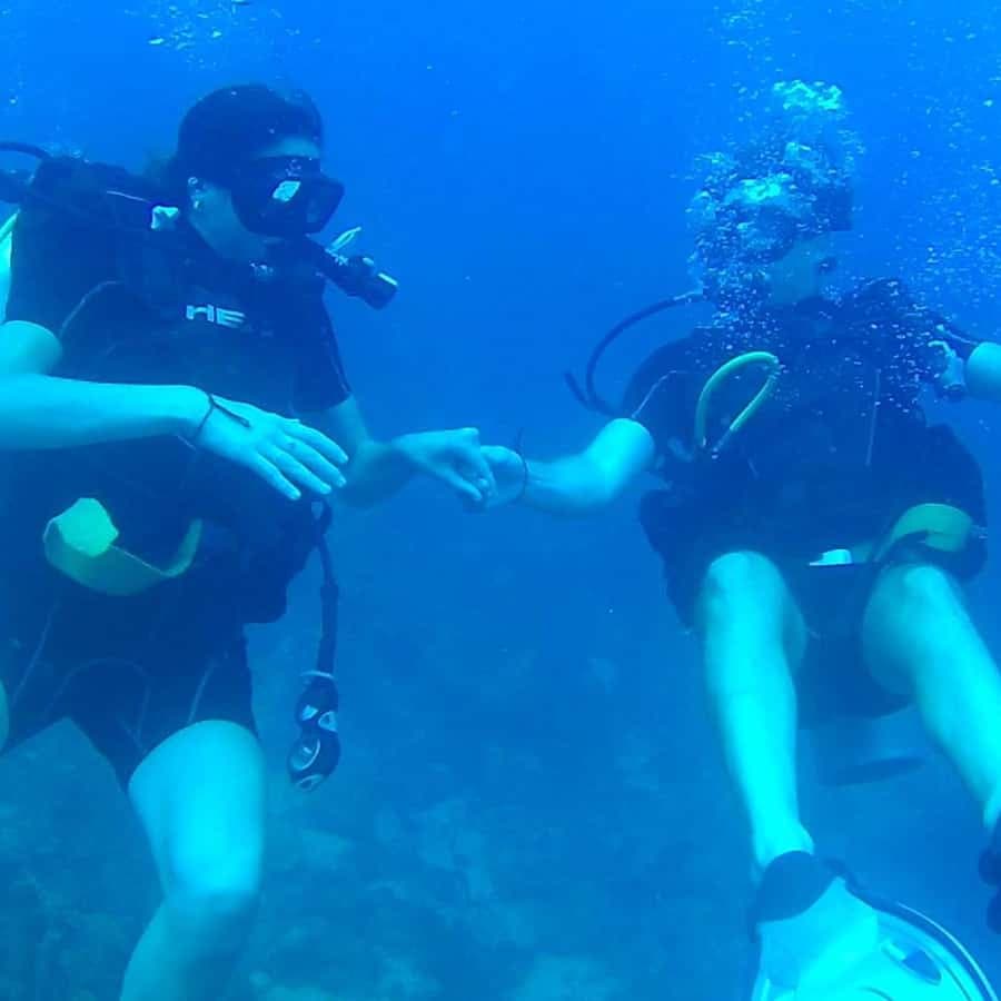 Scuba Diving in Catalina Island - Dominican Republic