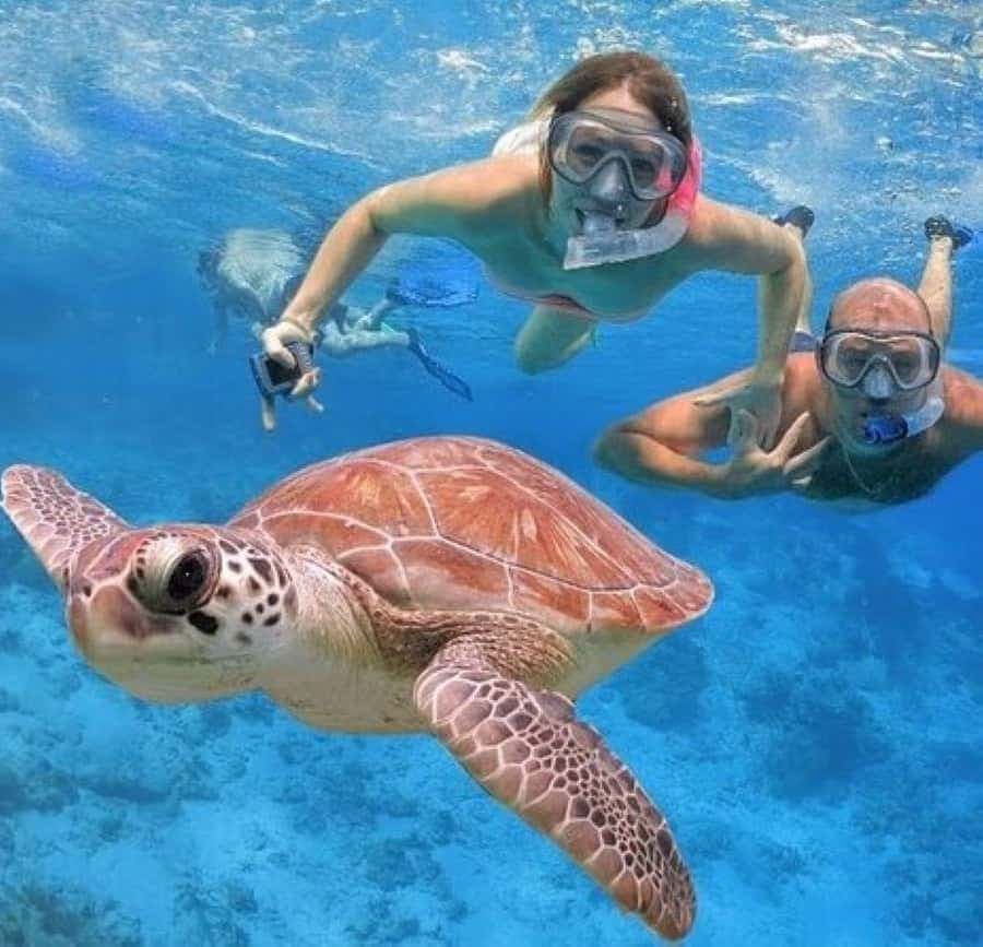 Punta Cana: Catalina Island Classic or VIP Sailing Tour