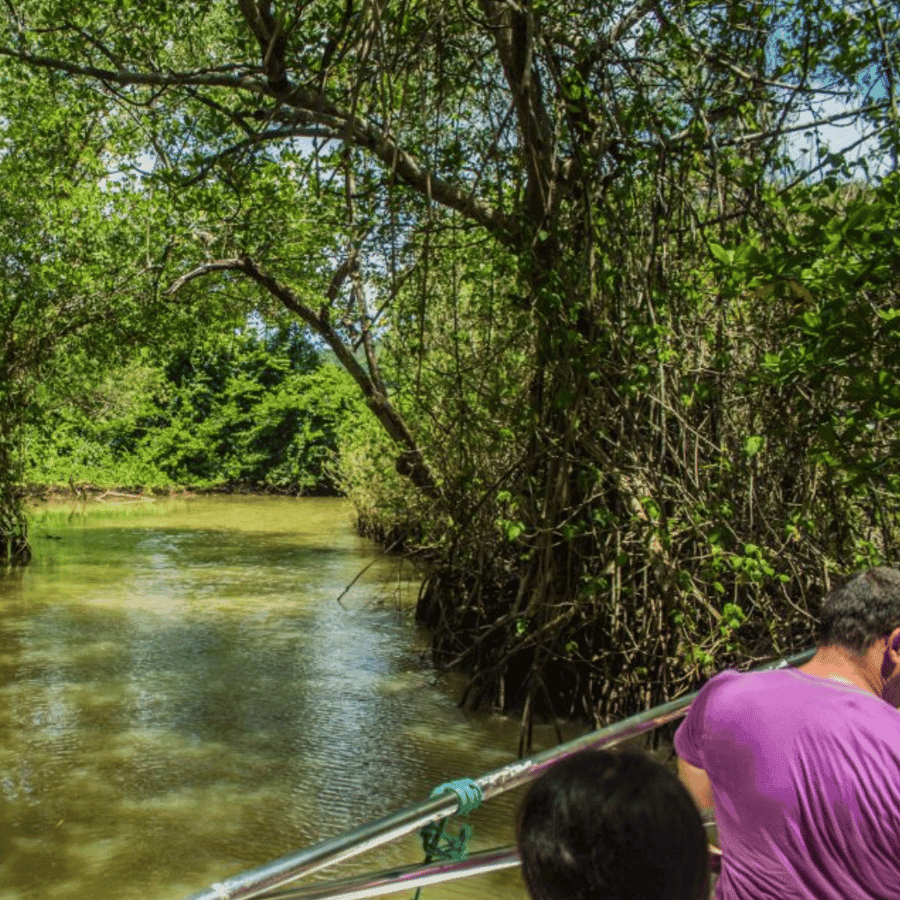 Punta Cana: Los Haitises & Caño Hondo natural pools Tour