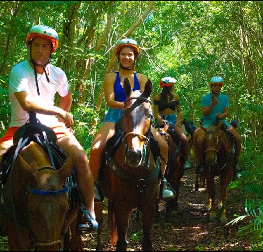Exhilarating Buggy Tours: Discover Punta Cana Scenic Wonders