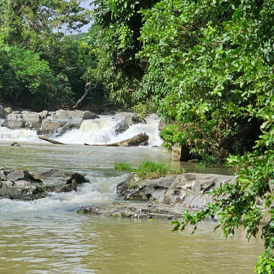 Individual full-day tour "Land & People" - from/to Bávaro/Punta Cana