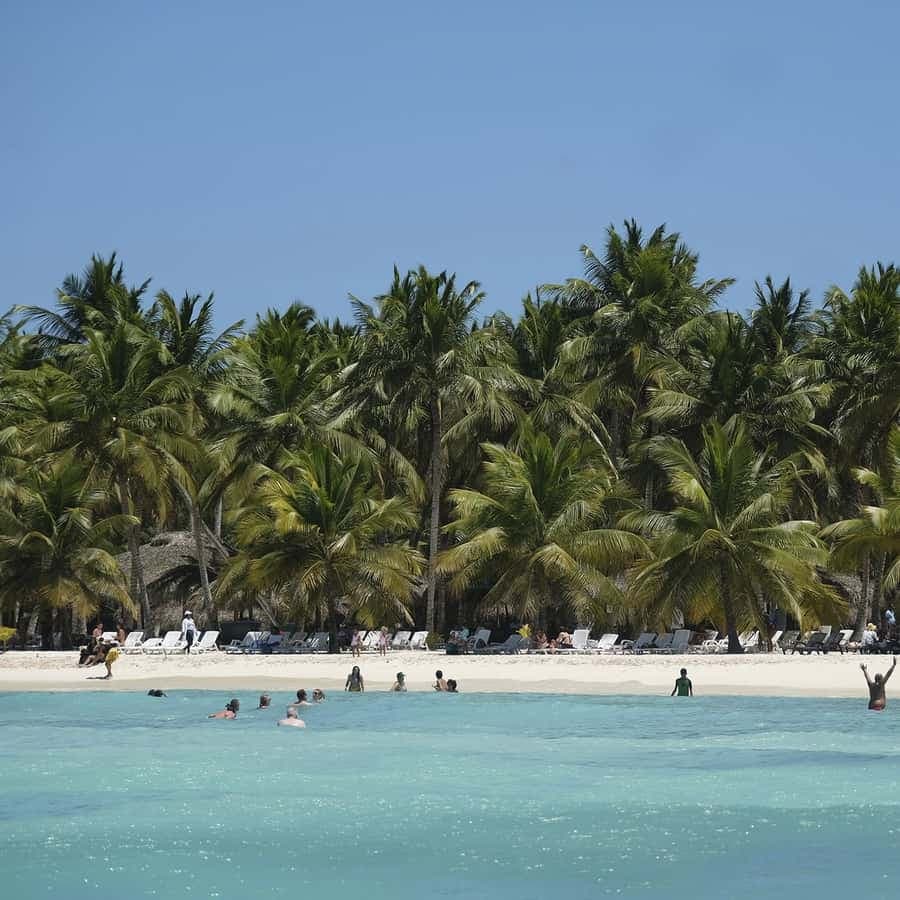 Bayahibe: Saona Island Boat Tour Small Group