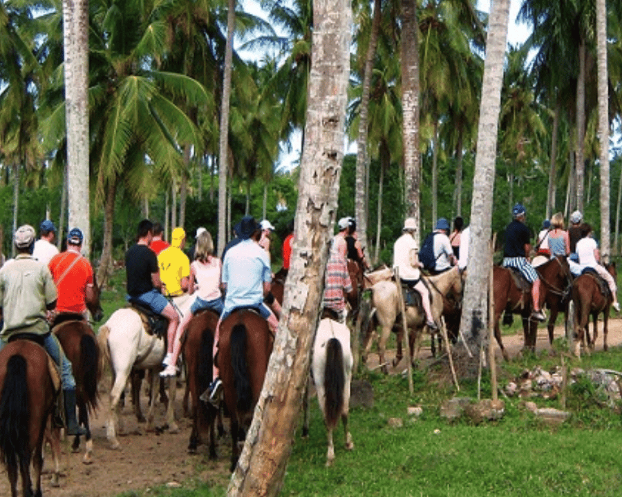 Punta Cana: Samana Full Day Tour with Lunch
