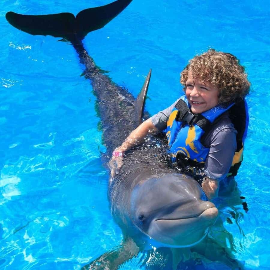 Punta Cana: Dolphin Discovery Park with Hotel Transfers
