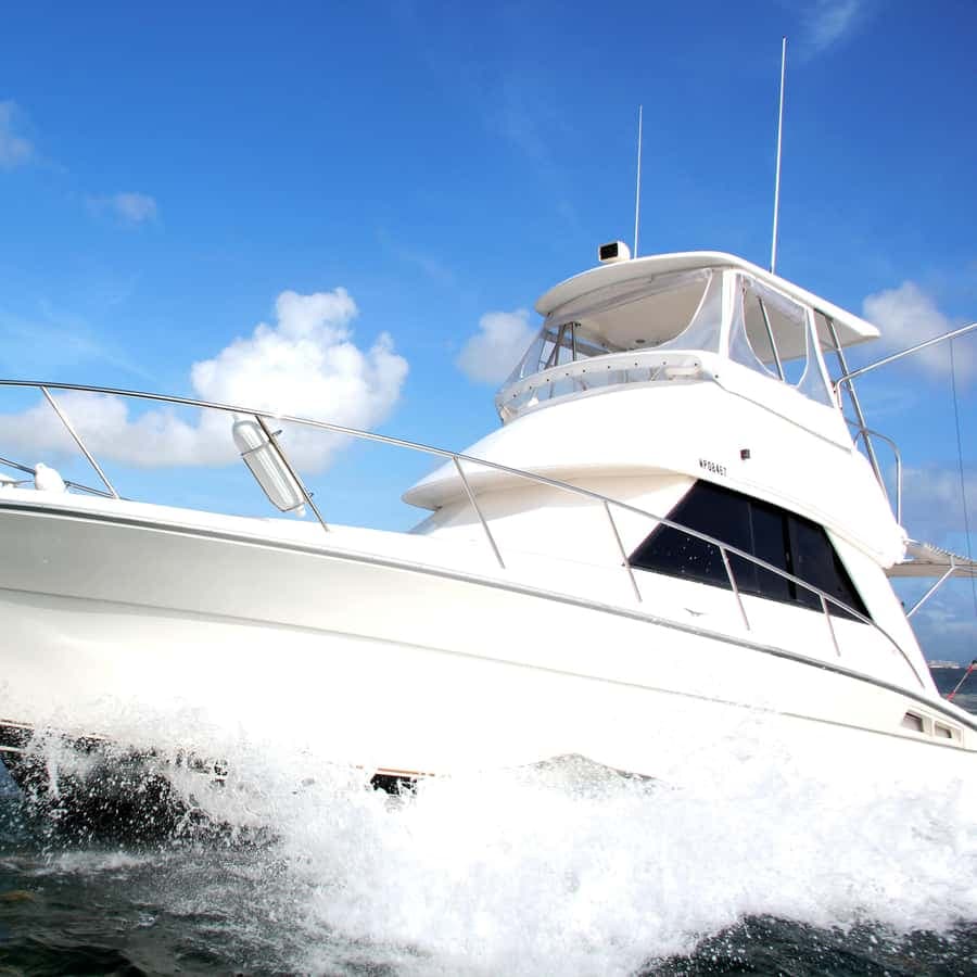 Private Fishing Charters "Gone Dog" 37' boat offshore trip