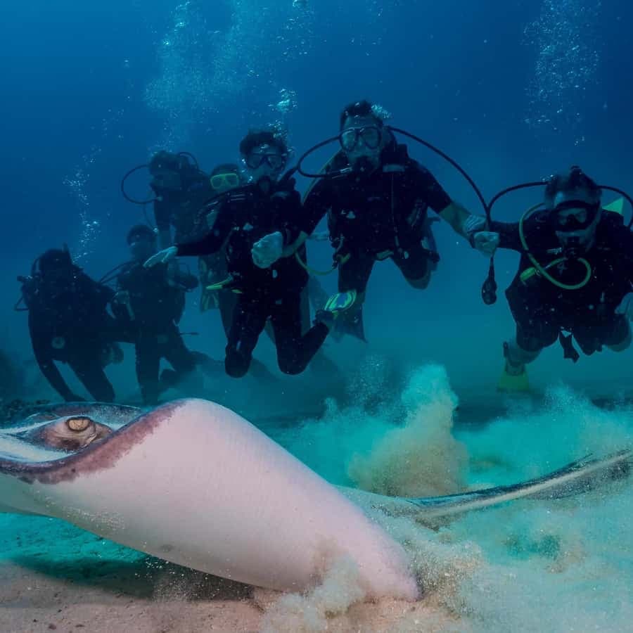 Bayhibe: Private 2 Tank Scuba Dive tour in the National Park