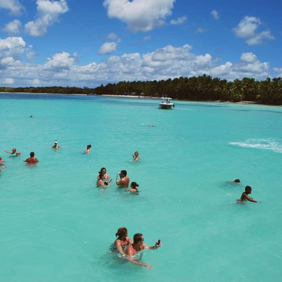 Day trip to Saona Island from Punta Cana with lunch and more