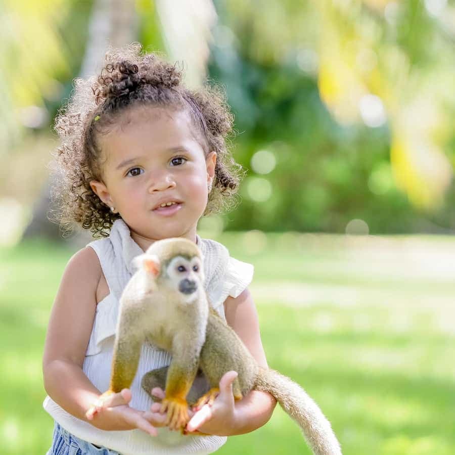 Punta Cana: Tour Monkey Adventure With Hotel Pick Up - Dominican Republic