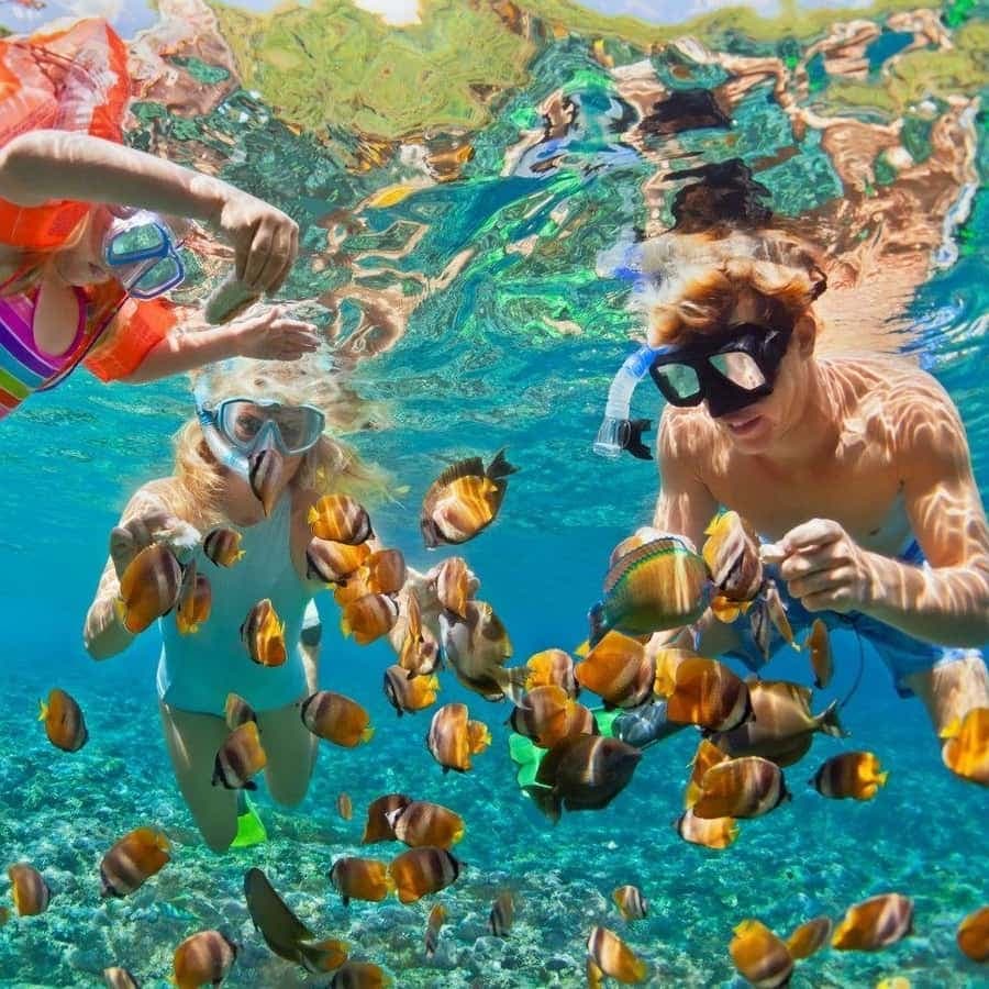 Glass Boat Adventure In Punta Cana