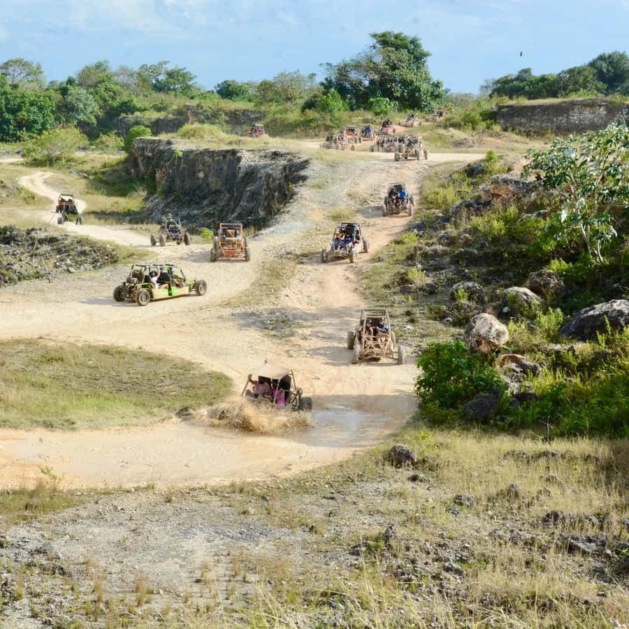 Wild Tiger Buggy: The Best Buggy Excursions in Punta Cana - Dominican Republic