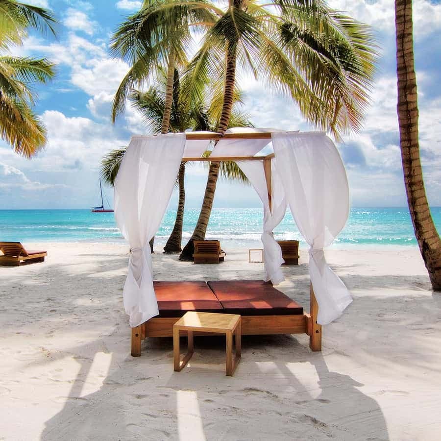 Saona Island from Punta Cana: Exclusive Beach Day Excursion