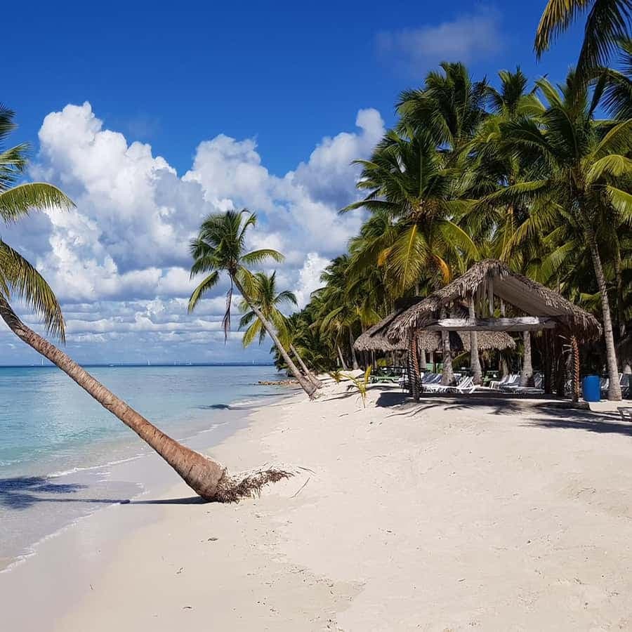 Juan Dolio: Saona Island Full-Day Tour with Catamaran Ride