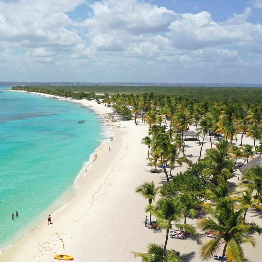 From Punta Cana: Private Catamaran Catalina Island Full-Day - Photo 1 of 5
