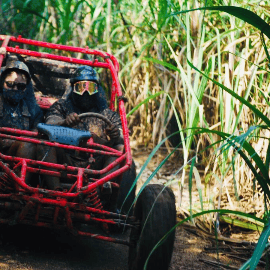 Bayahibe: Buggy tour amazing half-day