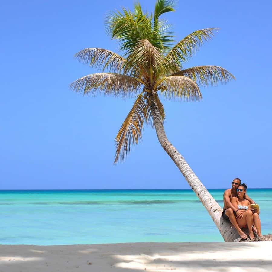 Saona Island: Full-Day Tour with Snorkeling and Lunch