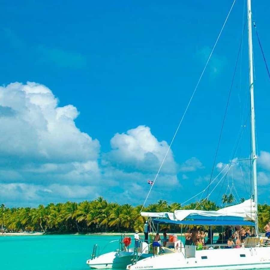 From Bayahibe: Saona Island Speedboat Tour with Snorkeling