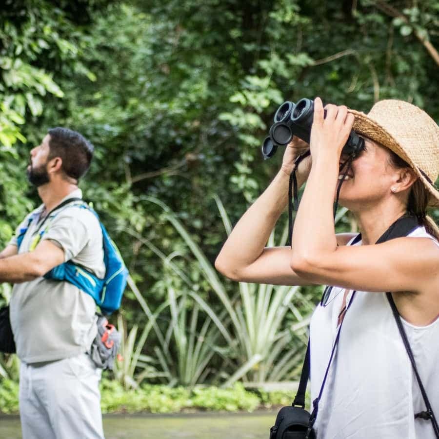 La Romana: Bird Watching From Casa de Campo