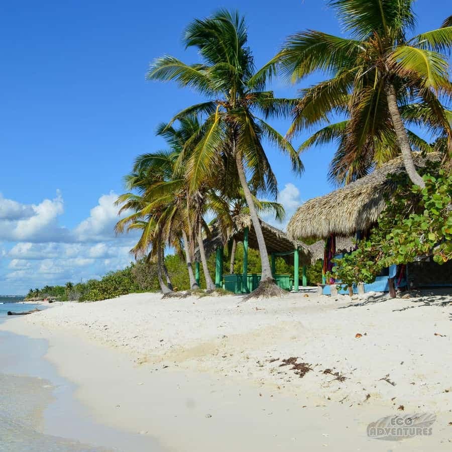 From Punta Cana: Catalina Island Snorkeling Tour