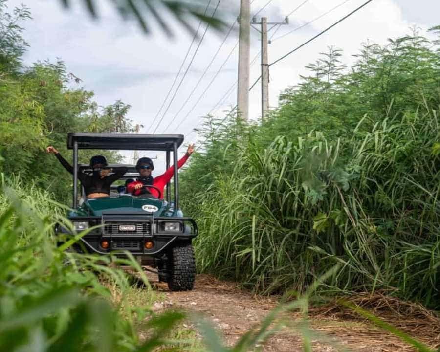 Punta Cana: Art and Forest Way Full-Day Tour with Lunch