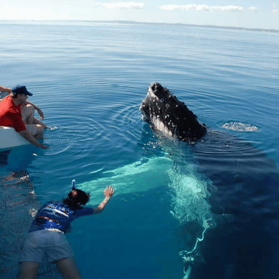 From Punta Cana: Samana Cayo Levantado / Whales - Photo 1 of 5