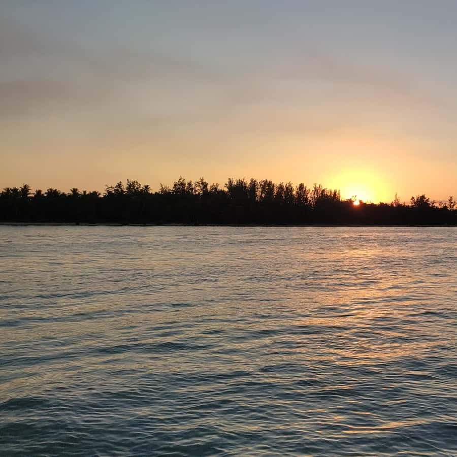 Punta Cana: Party Boat and Snorkeling Adventure