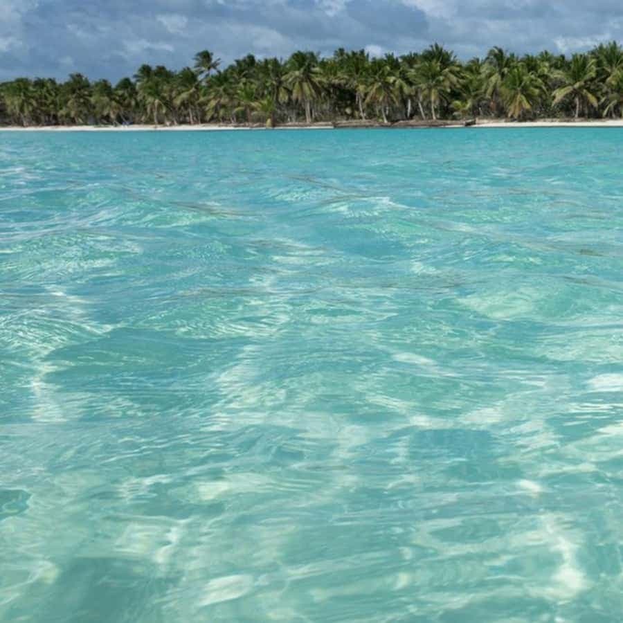 From Bayahibe: Saona Island Speedboat Tour with Snorkeling