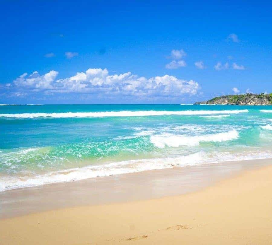 Punta Cana Excursions & Tours - Punta Cana Adventures - Dominican Republic
