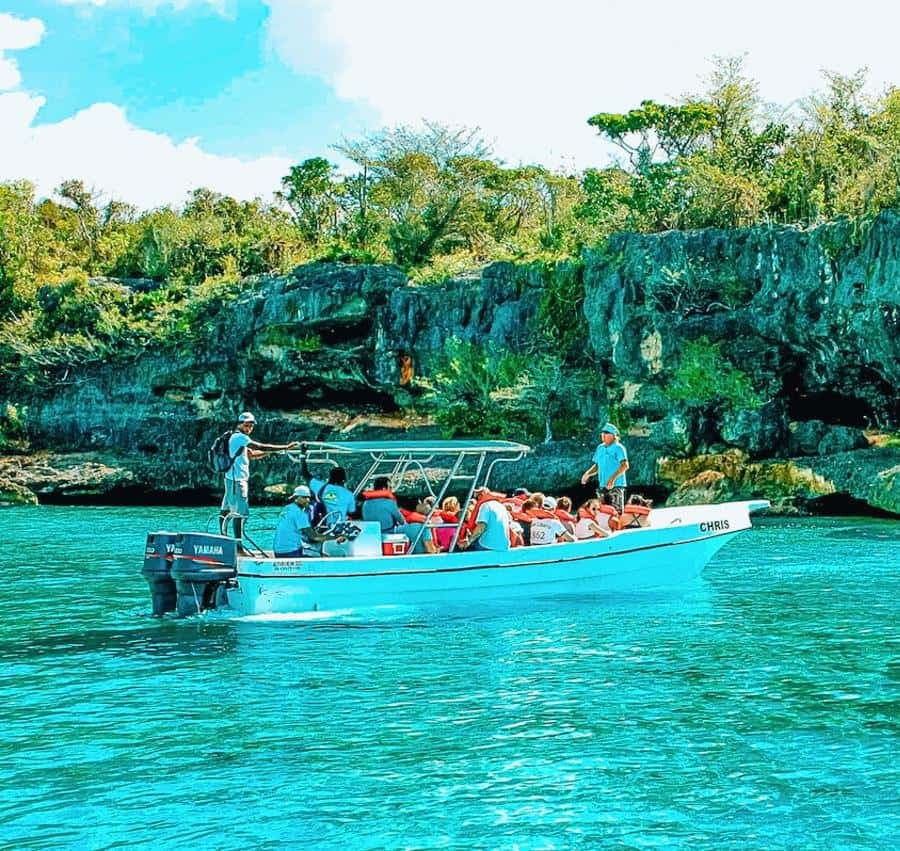 Isla Saona Speedboat Tour - Lunch, Wildlife & Natural Pools