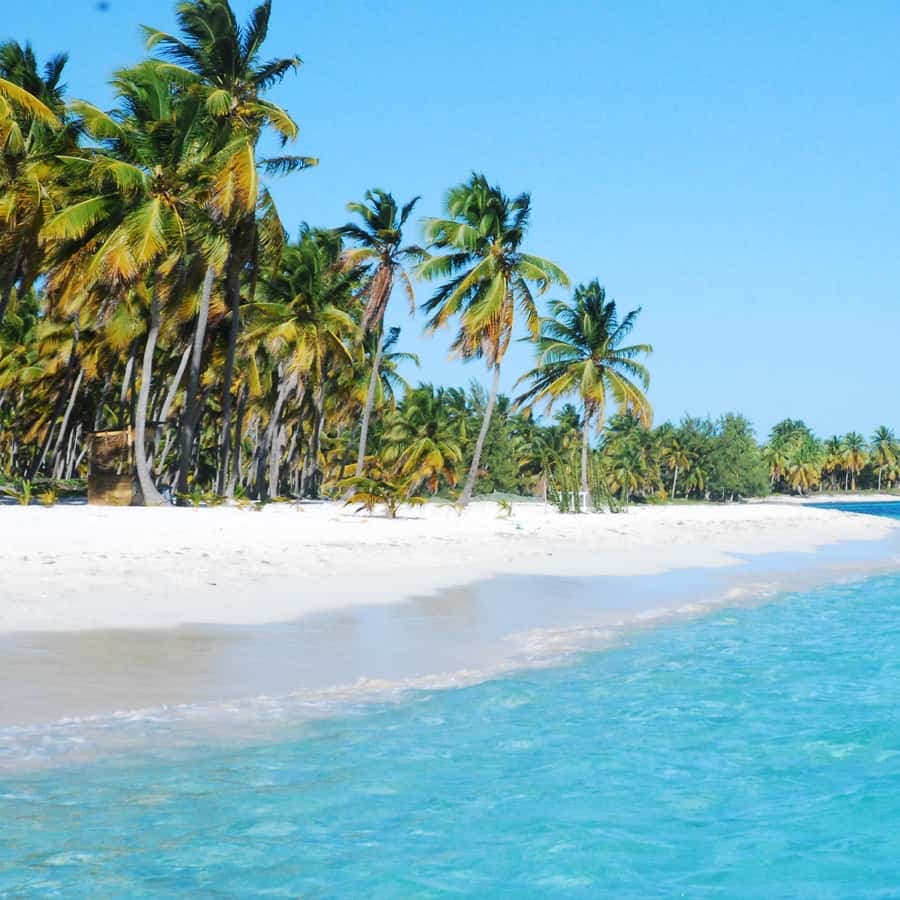 La Romana: Saona Crusoe VIP for cruise guests