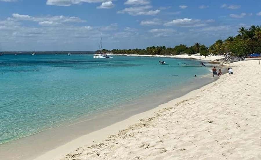 Punta Cana: Catalina Island Scuba Diving Day Trip