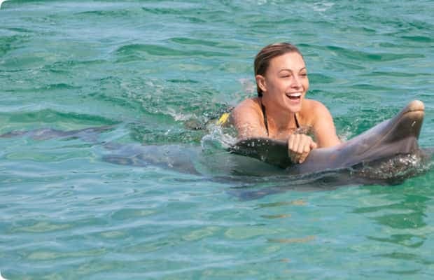 Punta Cana: Dolphin Experience