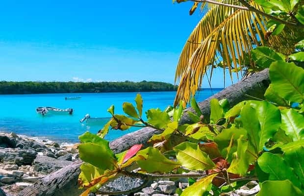 Punta Cana or La Romana: Catalina Island Tour and Snorkeling