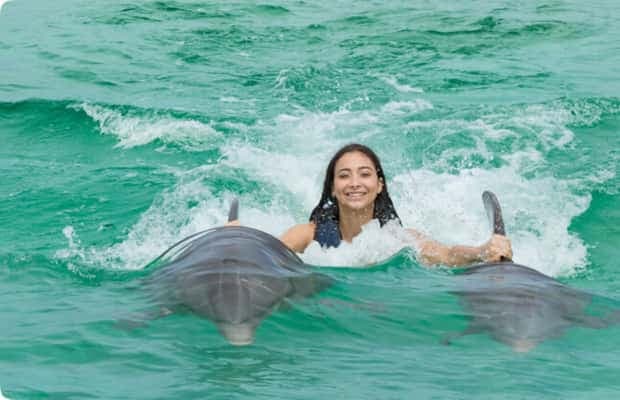 Punta Cana: Dolphin Royal Swim