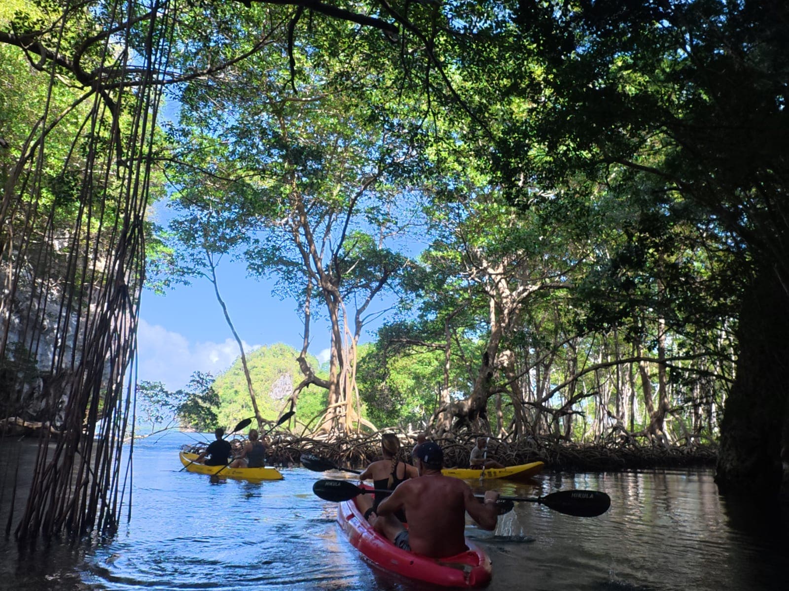 ATV, Kayaks & Caño Hondo Pools Tour from Samaná | Ferry Adventure