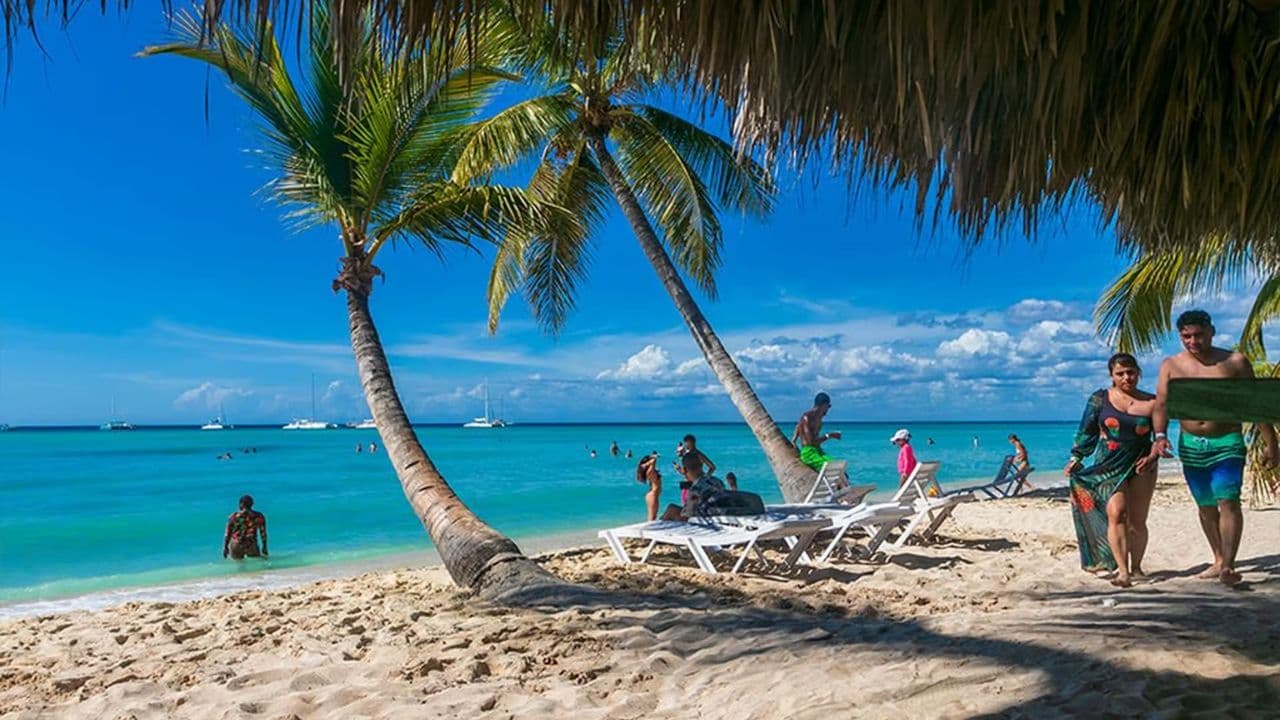 Saona Island: Full-Day Boat Tour with Drinks & Buffet Lunch