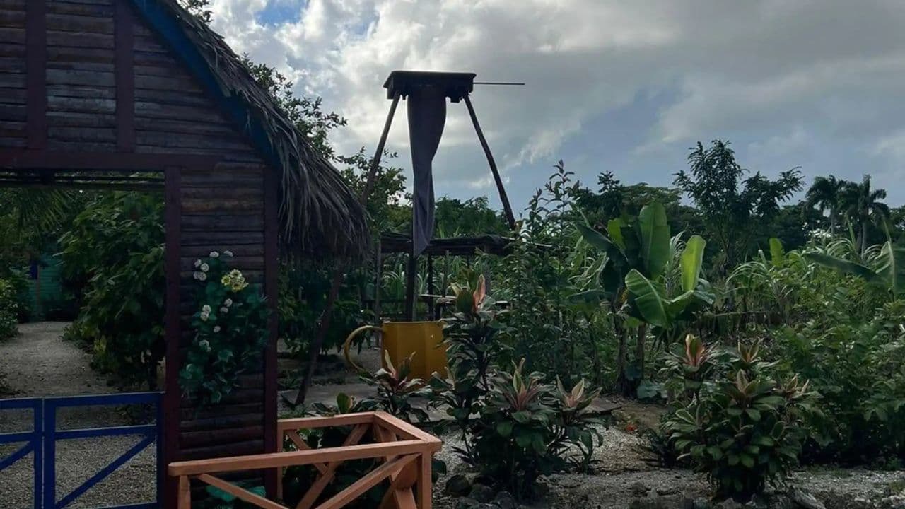Private Half Day Tour in Punta Cana with Local Guide