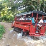El Limón Waterfall and Bacardi Island (Cayo Levantado) Tour from Punta Cana Hotels